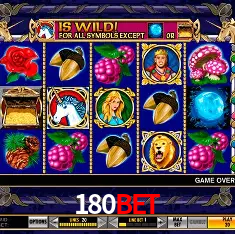 180bet Rio de Janeiro - Bonus Terms
